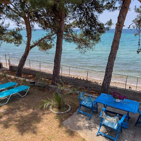 Pine Beach House Σκάλα Καλλιράχης Εξωτερικό φωτογραφία