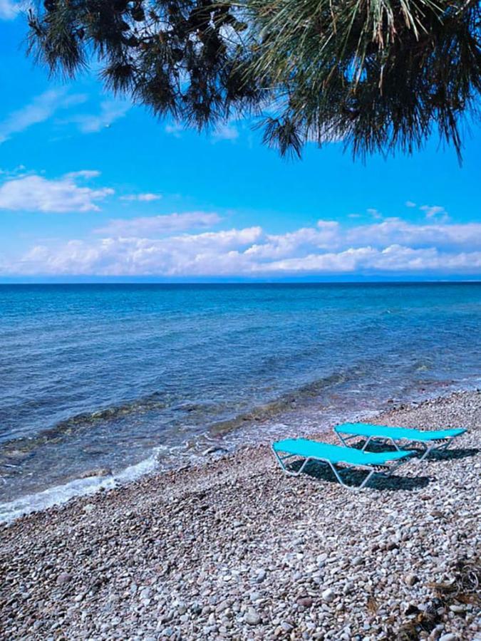 Pine Beach House Σκάλα Καλλιράχης Εξωτερικό φωτογραφία