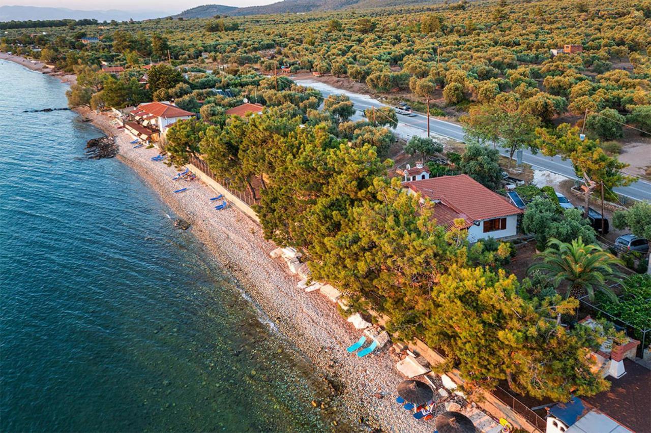 Pine Beach House Σκάλα Καλλιράχης Εξωτερικό φωτογραφία