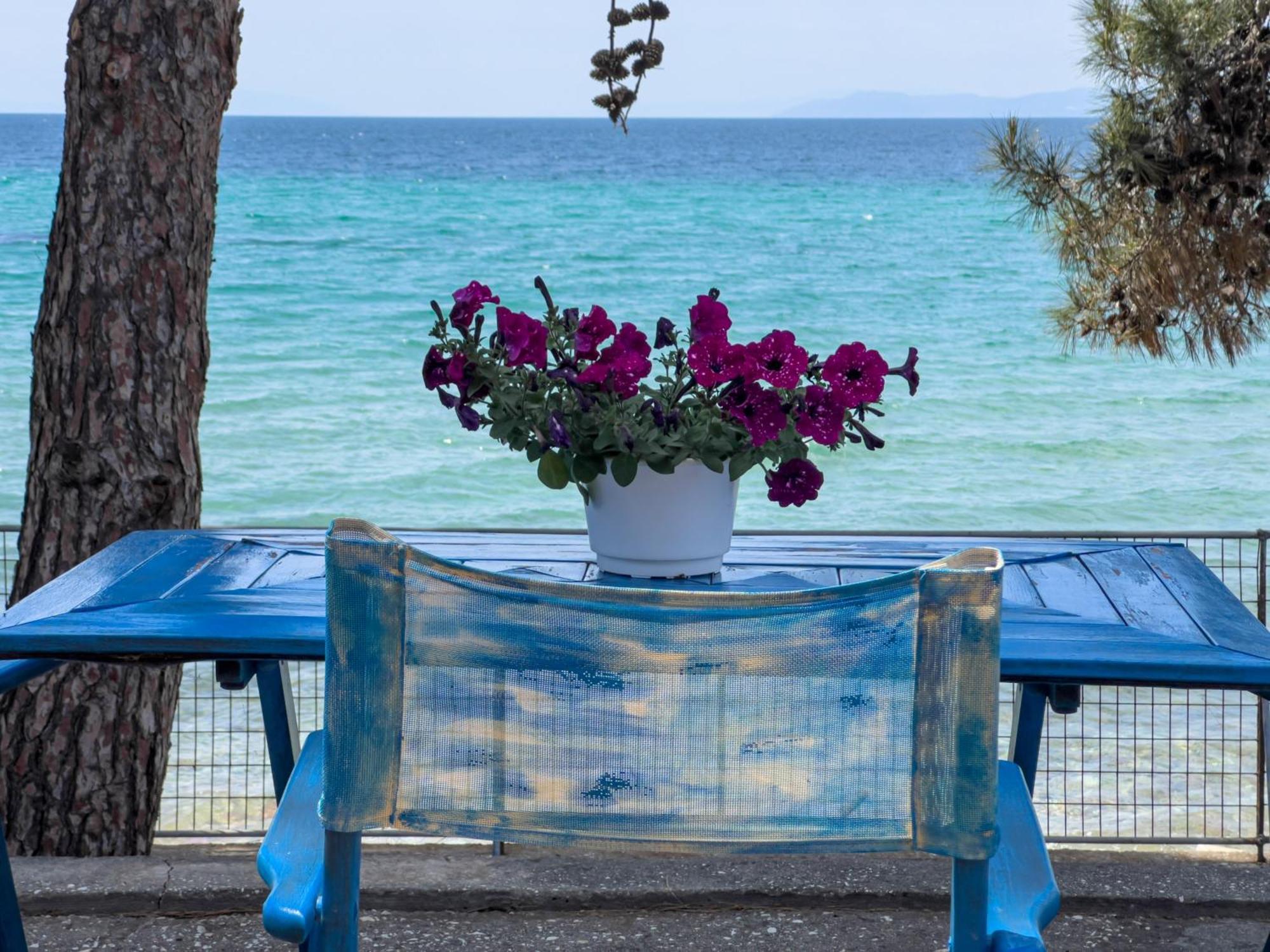 Pine Beach House Σκάλα Καλλιράχης Εξωτερικό φωτογραφία
